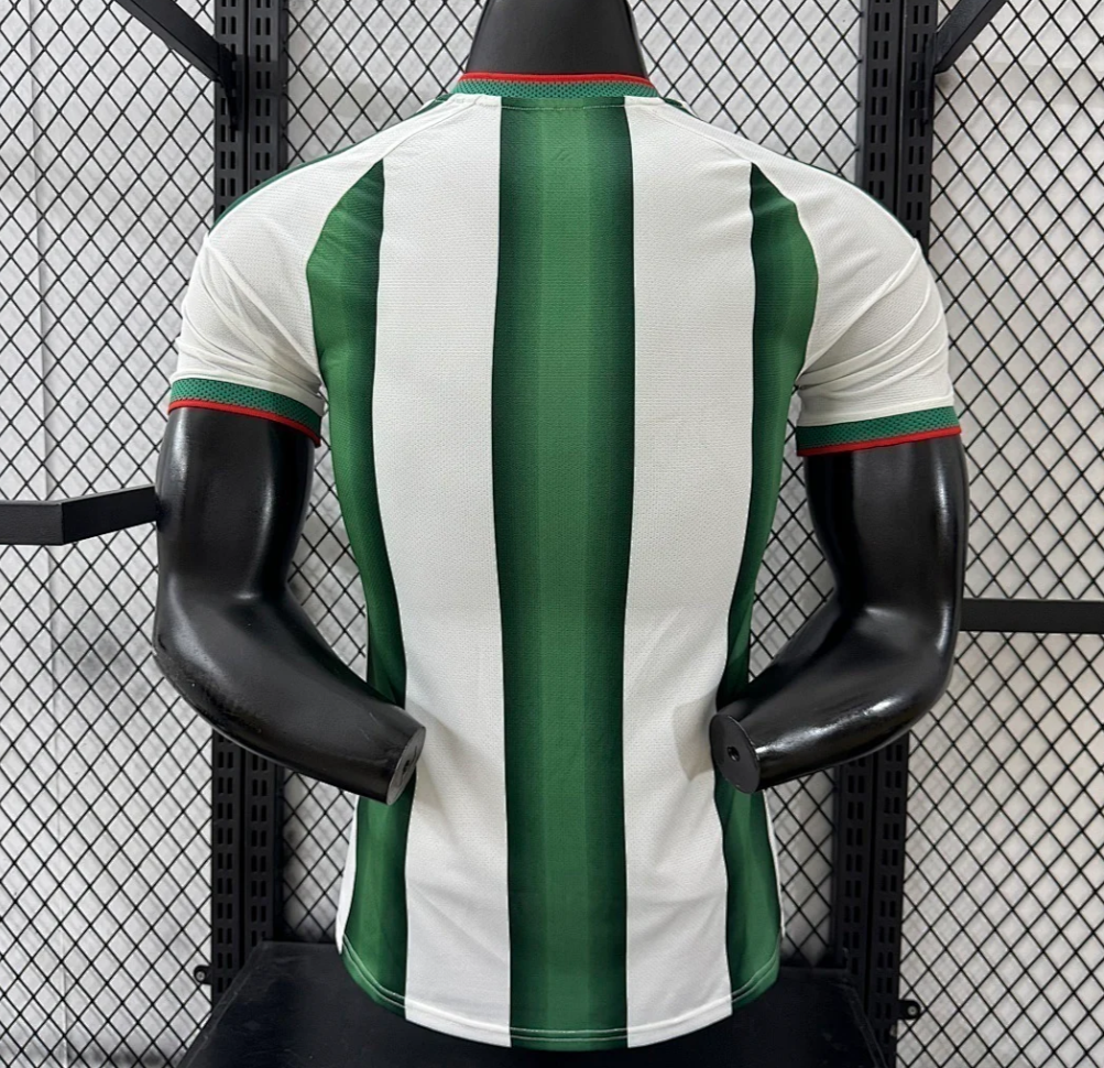 MAILLOT CONCEPT MEXIQUE