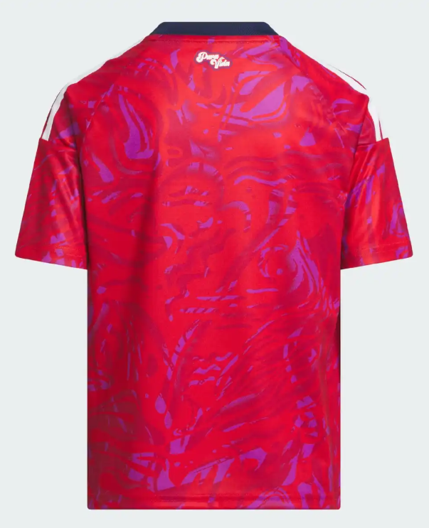 MAILLOT COSTA RICA DOMICILE COUPE DU MONDE 2026