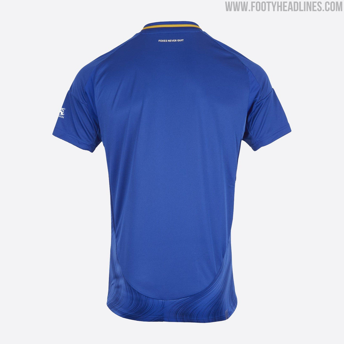 MAILLOT LECEISTER DOMICILE 2024/2025